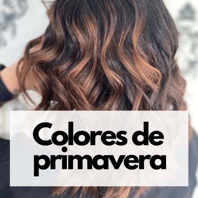 Peachy, Ice Blonde, Blorange, Bronde... ⁣
⁣
¿Queréis saber qué tendencias de coloración van a triunfar esta primavera? 🌺⁣
⁣
Lo cuentan los expertos @llatacarrerapeluqueria, @manuelmonoficial, @blue_by_raquelsaiz y @skstylebarcelona en este artículo que encontraréis en el link de la bio 🔝⁣
⁣
Gracias por contar con Cabello Experience, @glamourspain y @aranchagamo 🤗⁣
⁣
⁣
⁣
https://www.glamour.es/belleza/cabello/galerias/colores-pelo-primavera-2021/18675/image/1188201
⁣
⁣
⁣
#cabelloexperience #hairtrends #tendenciaspeluqueria #blorange #iceblonde #brondehair #peachyhair⁣
⁣
⁣
⁣